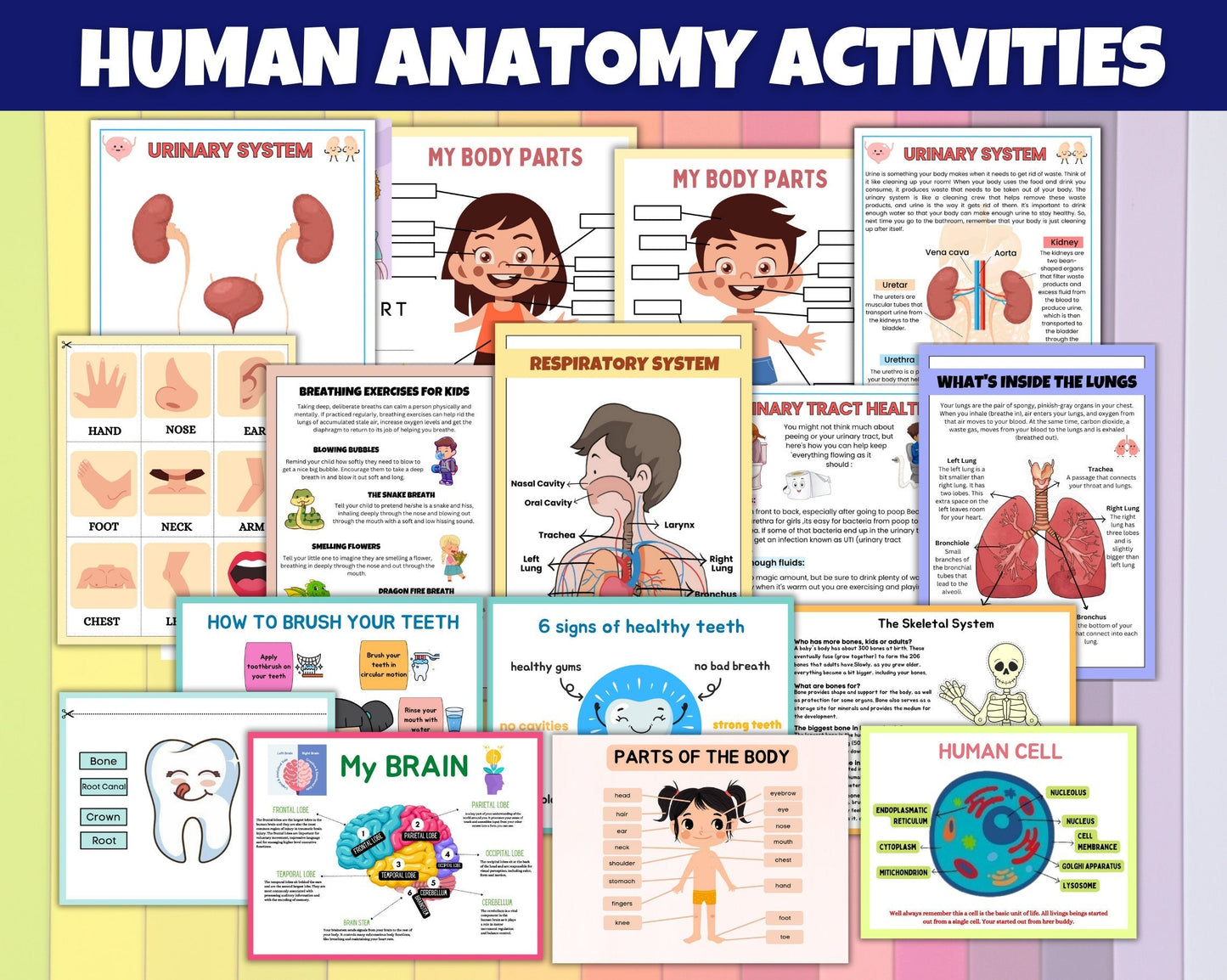 4000+ Educational Kids Activity Pages Bundle - Print Ready